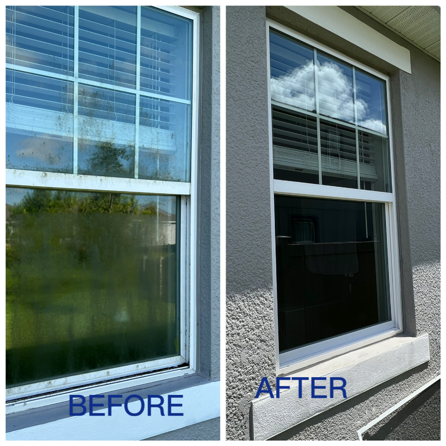 Exterior Window Cleaning in Winter Garden, FL