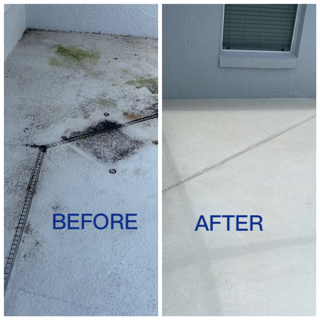 Light Pressure Pool Enclosure Cleaning in Davenport, FL